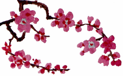 Laura Tabet, body based healing, enery work, therapeuticmassage, cranial sacral therapy, bay area